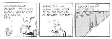 Cubicle Cartoon