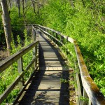 New sensory walking trail gives access to the visually impaired